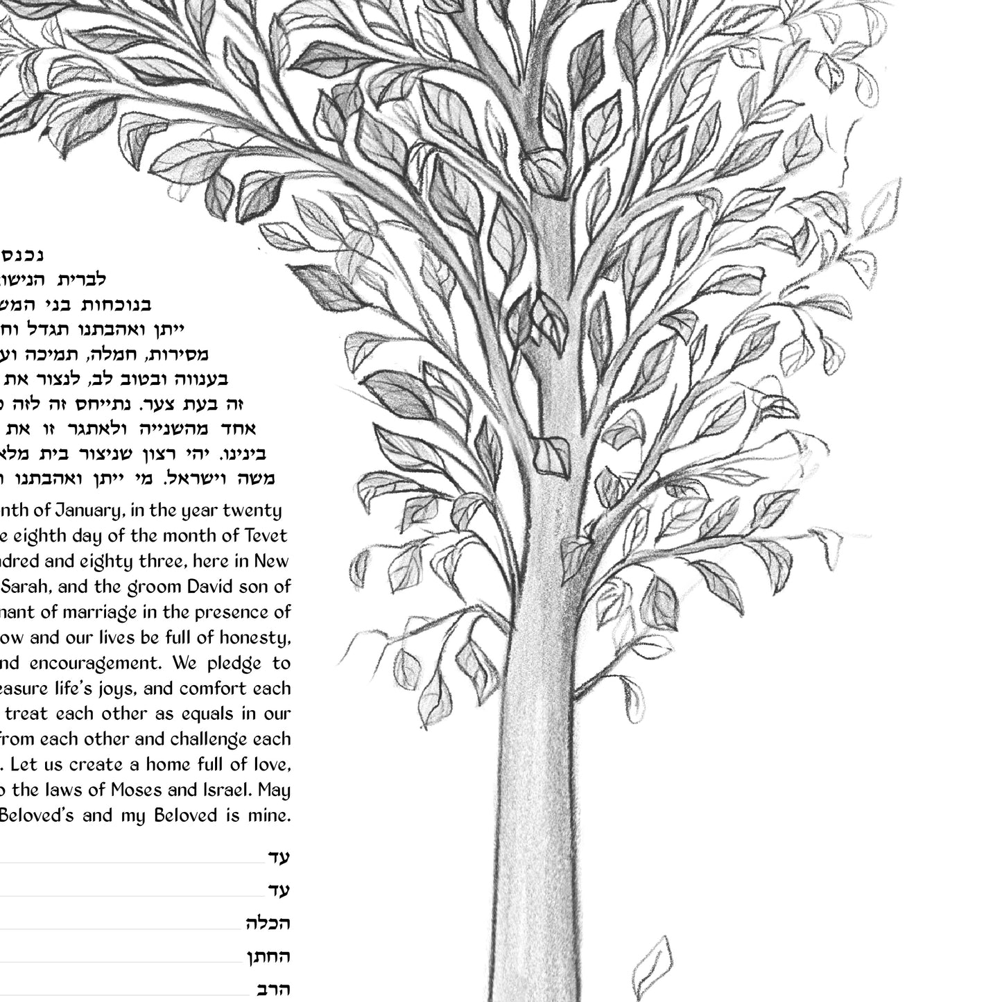 Pencil Sketch Tree of Life Ketubah