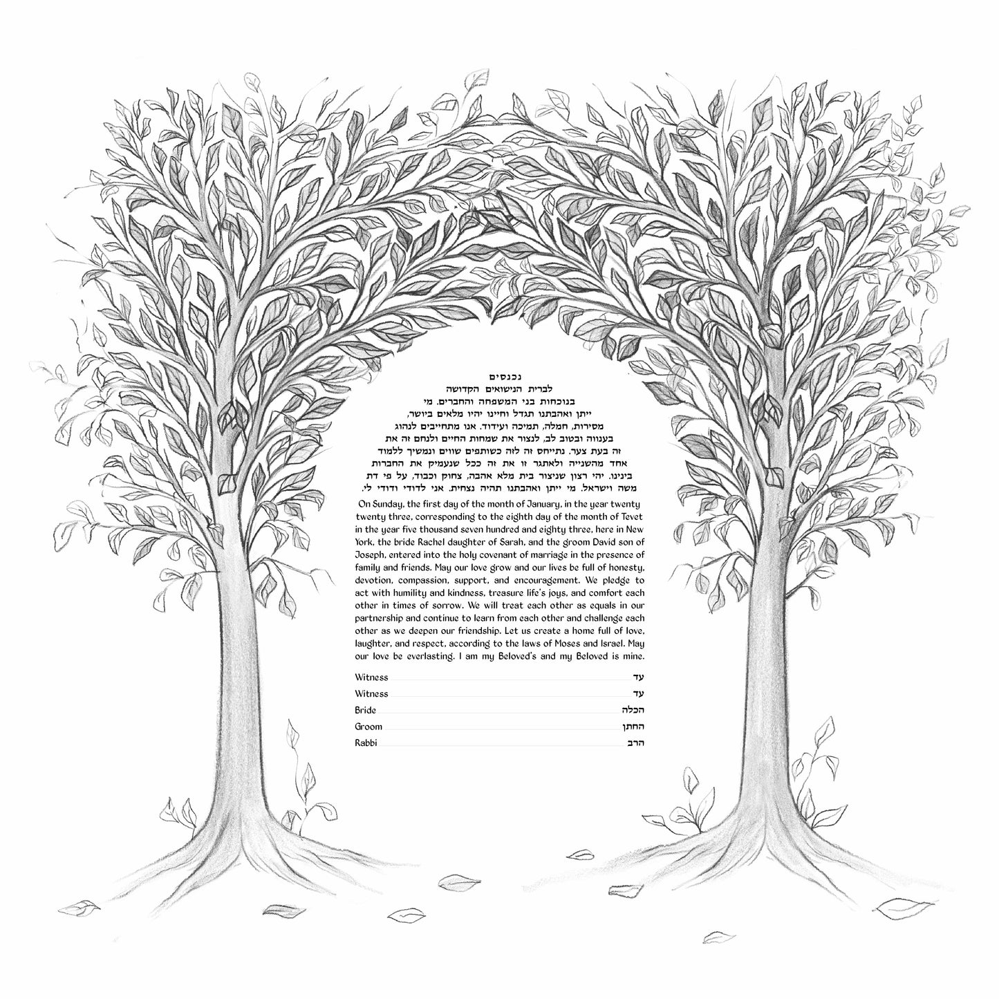 Pencil sketch Tree of Life Ketubah design with branches forming a chuppah canopy of unity and love.