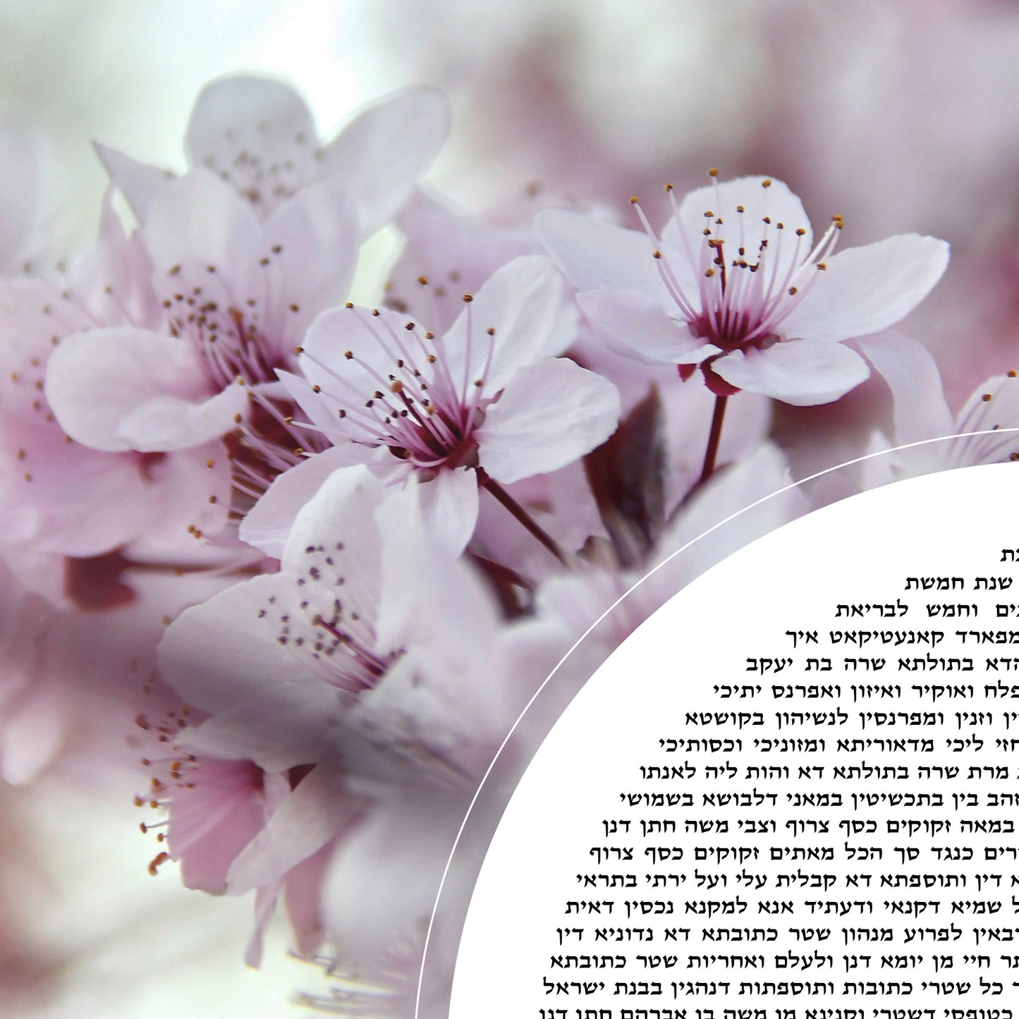 Modern Floral Photo Ketubah – Soft Bloom Nature Design