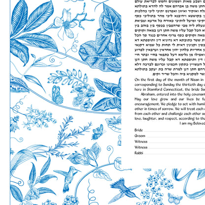 Ahava (Love) Blue Bird Ketubah