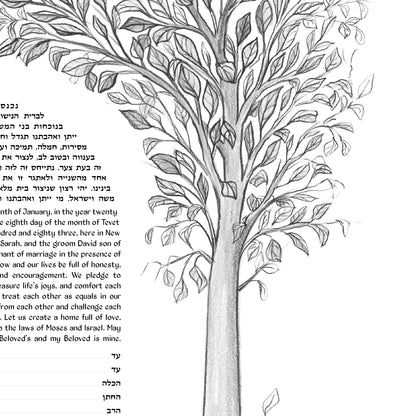 Pencil Sketch Tree of Life Ketubah