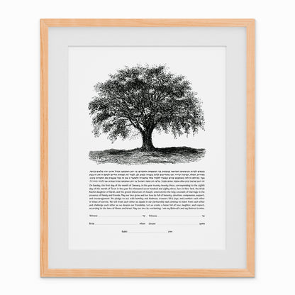 Tree Sketch Ketubah