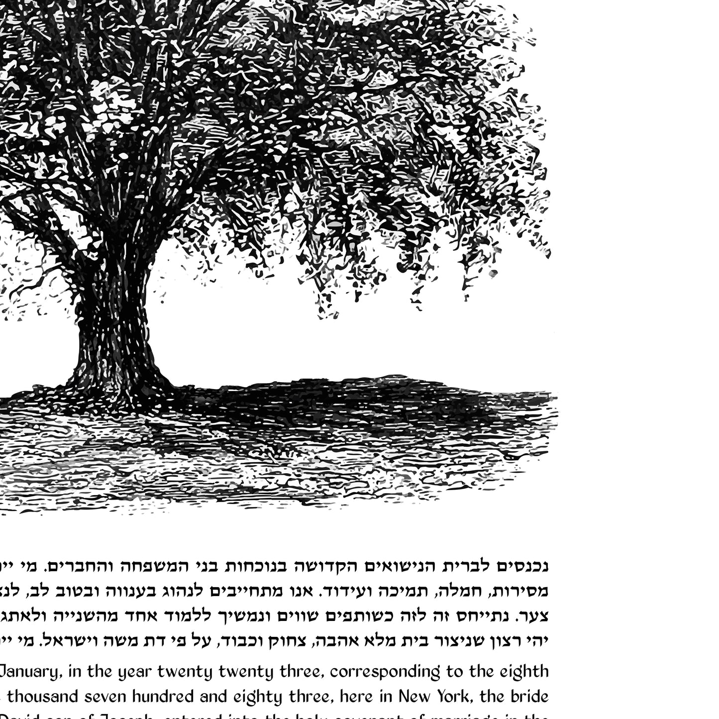 Tree Sketch Ketubah