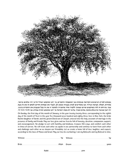 Tree Sketch Ketubah
