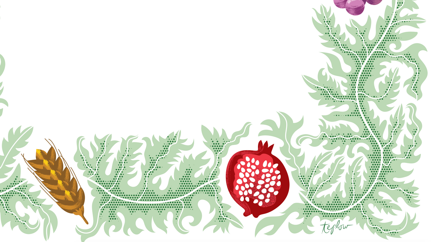 Fruits of Israel Ketubah