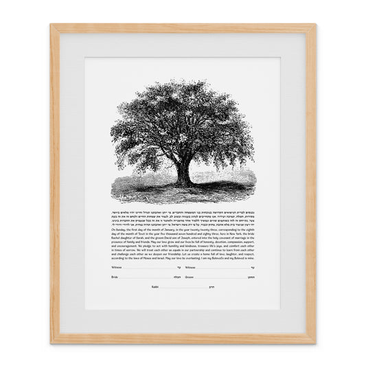 Tree Sketch Ketubah