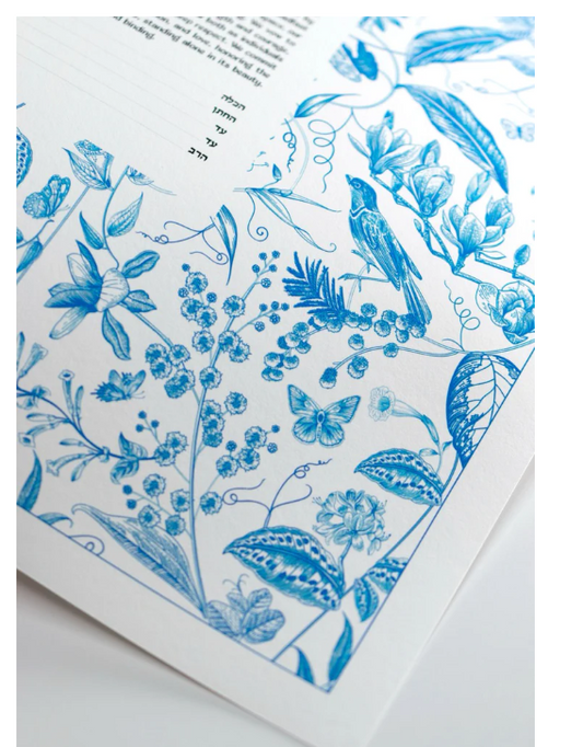 Ahava (Love) Blue Bird Ketubah