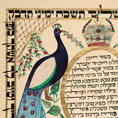 Peacock illustration detail on a historic 1911 ketubah from Bombay, India.