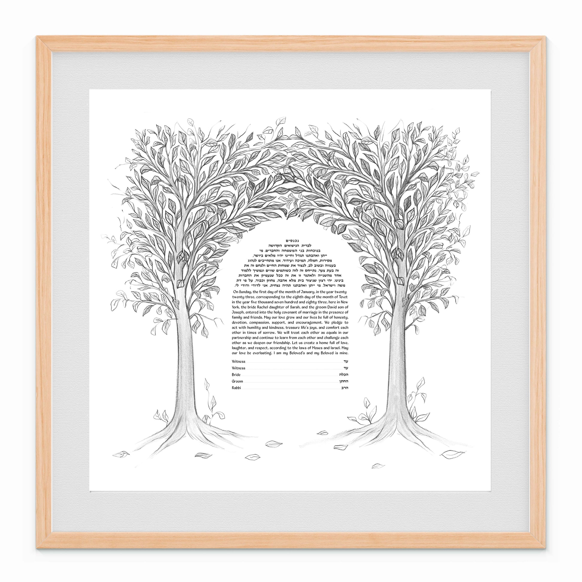 Pencil sketch Tree of Life Ketubah design with branches forming a chuppah canopy of unity and love.